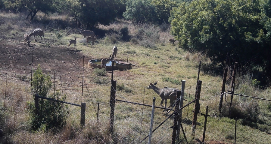 5 Bedroom Property for Sale in Swartruggens North West